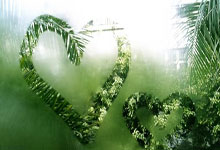 如果工程已完工，補辦水土保持方案報告書，監(jiān)測工作還需要開展嗎？